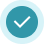Check icon 