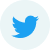Twitter icon